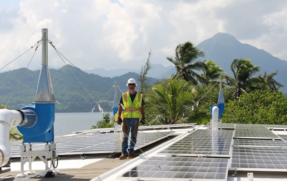 Local Oahu electrician on the job in front of a Hawaiian home with tropical foliage